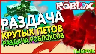 Роблоксы розыгрыш