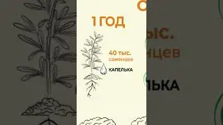 Технологический протокол успешного агробизнеса