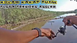 Mancing Di Kolam Kakap Putih