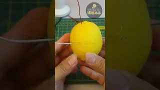 Amplify Fruit Energy Become 220v - Fake or Real?
