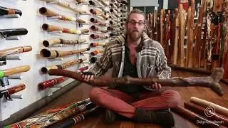 Didgeridoo Buyers Guide - Buying a didgeridoo for the advanced player - 10 of 10
