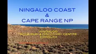 WA EPISODE 11 NINGALOO COAST & CAPE RANGE NP