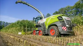 Claas Jaguar 960 TT | Maisernte 2019 |Orbis 750|Fendt|John Deere|Massey Ferguson|New Holland