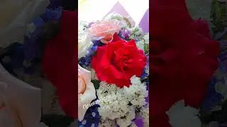 когда без повода... ❤