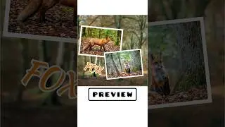 photo animation video editing tutorial 😊 video editing tips in 1 minute #shortstutorial  # trending