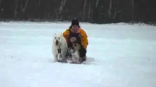 Julian auf dem Hundeschlitten