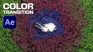 How to Create Amazing Black & White to Color Transition in Adobe After Effects