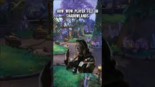 how wow players felt in shadowlands 