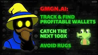 How to Find Profitable Solana Wallets & 100x Meme Coins w/ GmGn.AI