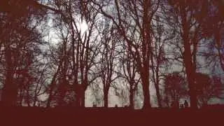 Eclipsed - Cameo Microfilm #4