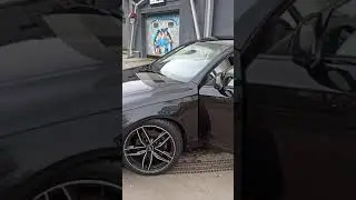 Golden Panther