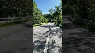 ⚠️Fox is on the road!⚠️#therian #quadrobics #кисячерри #nature #therianthropy #квадробика #antizoo
