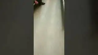странные люди в метро Москвы