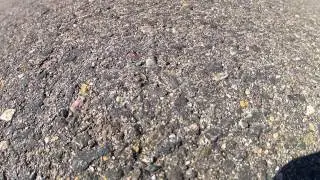 Wiggins Quadcopter