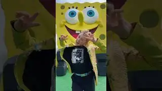 Happy birthday @SpongeBobOfficial 🎉🎂 #kca #spongebob25