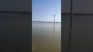 море тюнина 