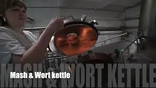 Mash and wort kettle