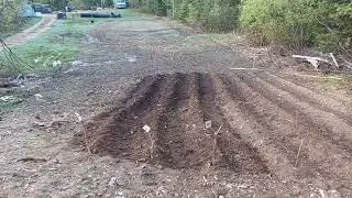 garden time in the maritime