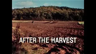 After the Harvest