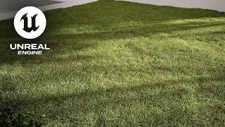 Beautiful Lawn GRASS in Unreal Engine from Scratch! PCG