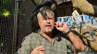 Гиббоны поющие обезьяны!!!🐒 Парк Миниатюр