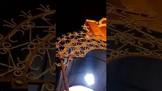 5 мая 2024 г.