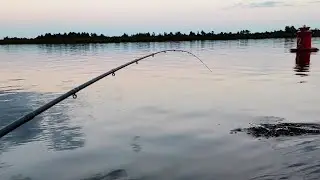 РЫБАЛКА С ЛОДКИ НА РЕКЕ  СВИРЬ . РЫБА КЛЮЁТ , КАК ИЗ ПУЛЕМЕТА .