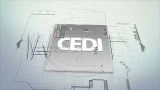CEDI Specialisti per Passione