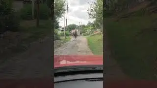 Тоже транспортное средство