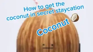How to get the coconut in secret staycation