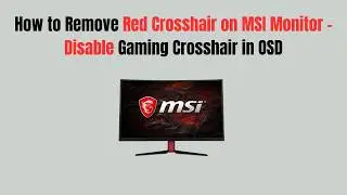 How to Remove Red Crosshair on MSI Monitor – Disable Gaming Crosshair in OSD