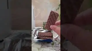 Обзор на 'Коломенские вафли' со сливочным кремом и тёмным шоколадом (бомба)