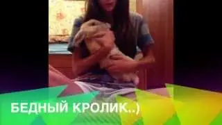 Один день из жизни))