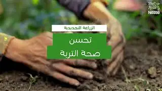 خطة نسكافيه 2030