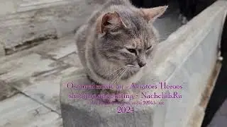 One Day in Istanbul
