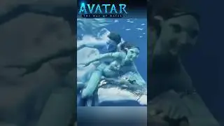 Аватар 2 отношения несовершеннолетних