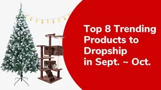 Top 8 Trending Products to Dropship in September ~ October