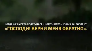 Abu Aws | Сура 23 Аль-Му'минун | Красивое чтение Корана