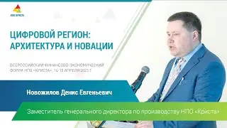 Д.Е. Новожилов: 