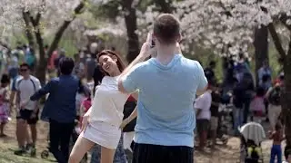 The bloom that went bust