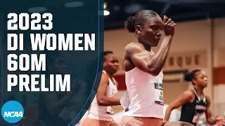Julien Alfred breaks 60m collegiate record - 2023 NCAA indoor track and field championships