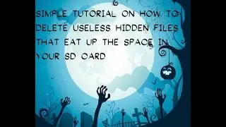 How To Delete Useless Hidden  Files That Acquired The Space On Your Memory Card: Android Phones