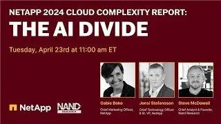 NetApp 2024 Cloud Complexity Report: The AI Divide