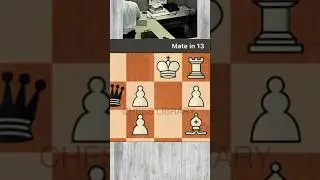 CHECKMATE IN 13