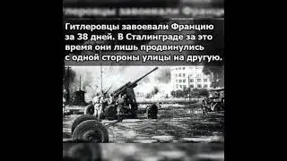 История,которую невозможно забыть,про наших войнов победителей