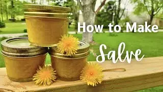 How To Make Dandelion Salve