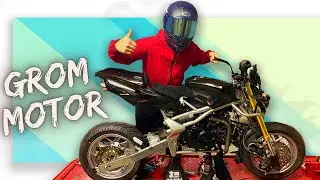 THE POCKET BIKE IS ALIVE!