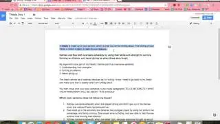 Thesis and Claims- Adversity