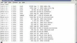 Using the more and less Commands