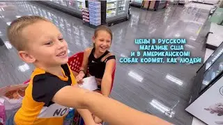 Русские магазины в США, и американские! Собак кормят, как людей. Кинотеатр в Америке! 